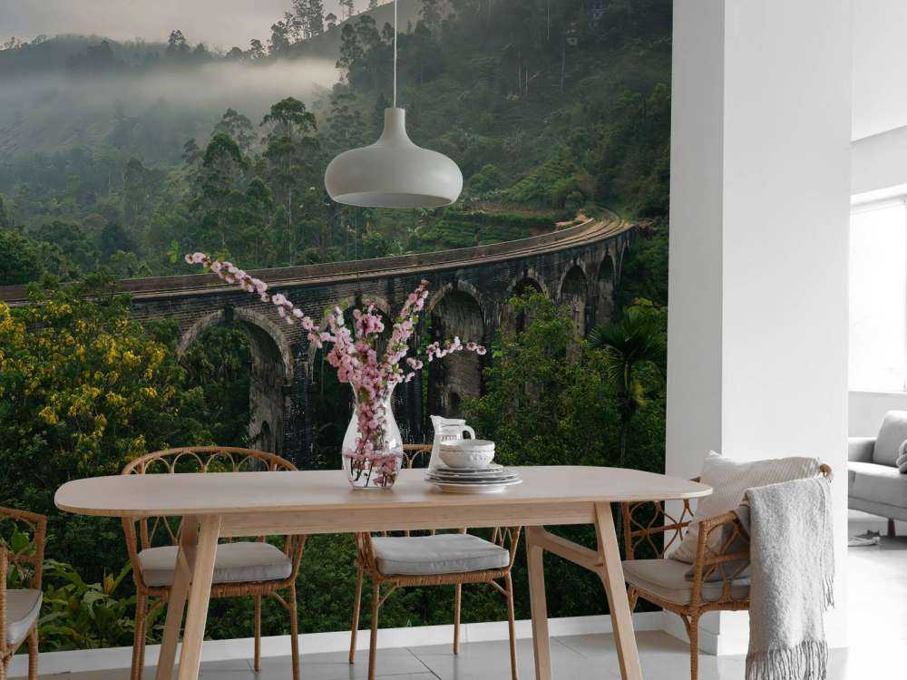 Railway bridge through jungle