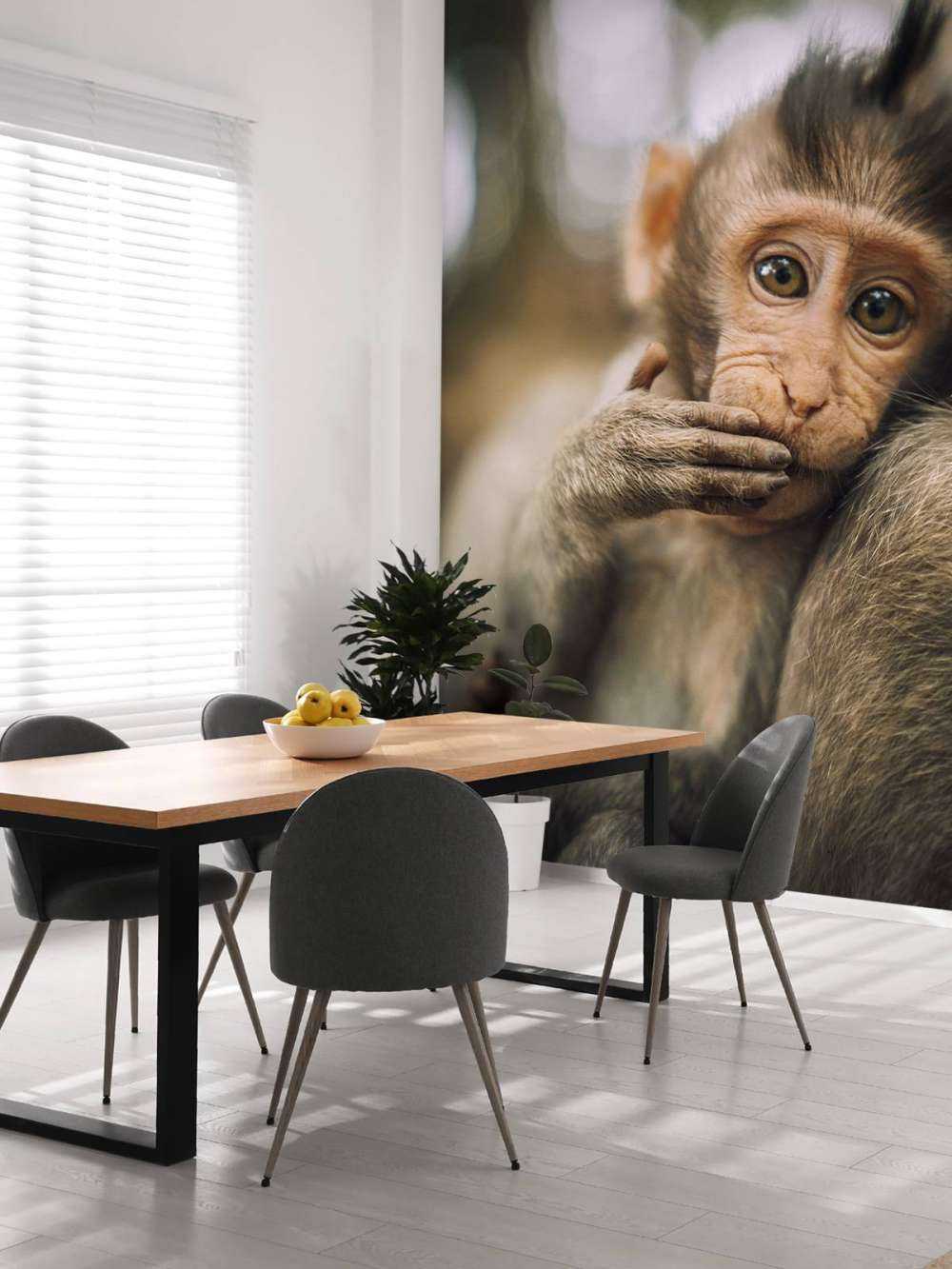 Close-up of a monkey