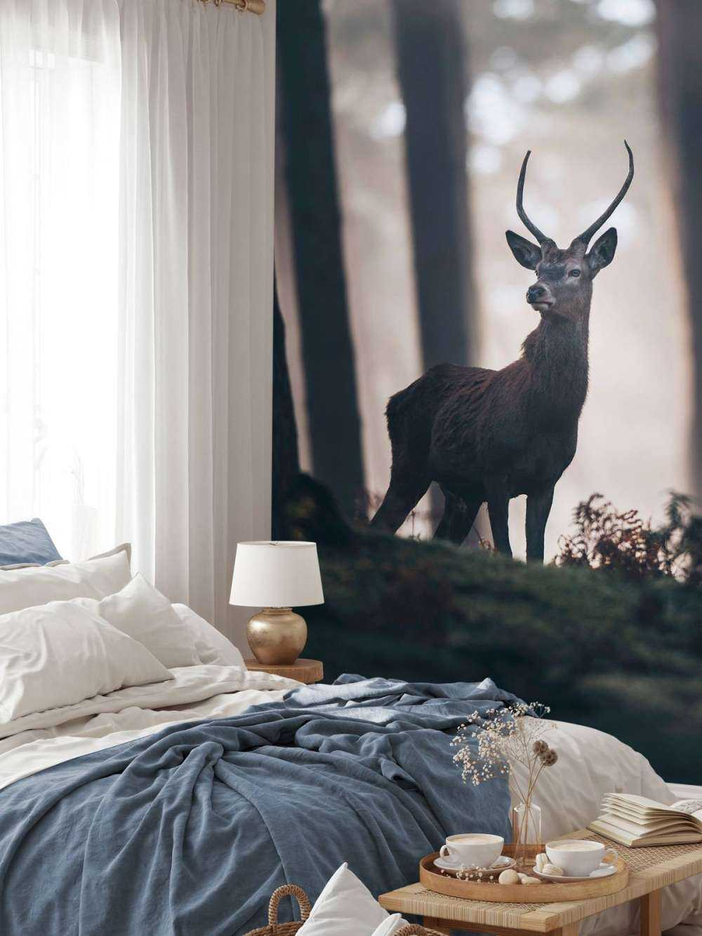 Stag near trees