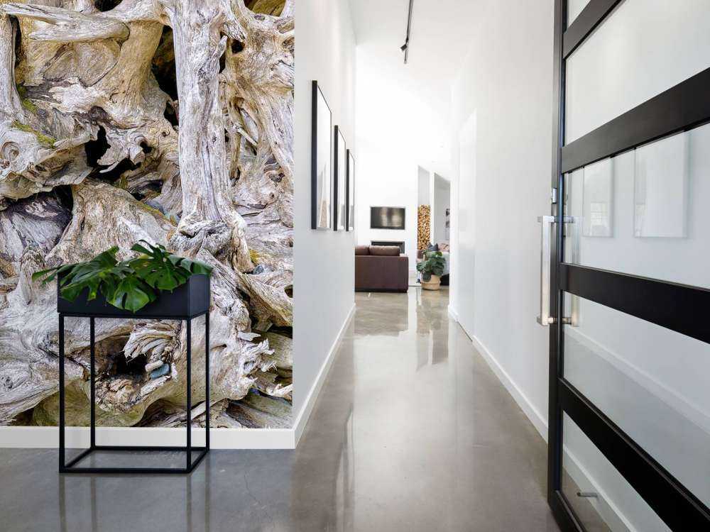 Tree roots 