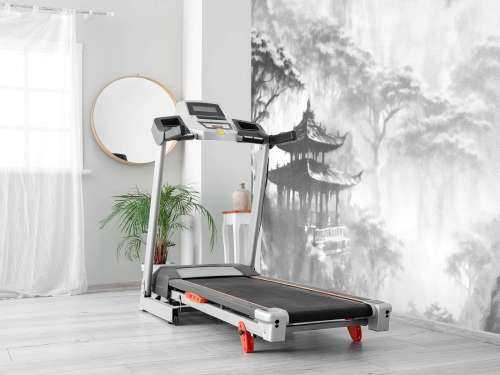 Misty Oriental Pavilion