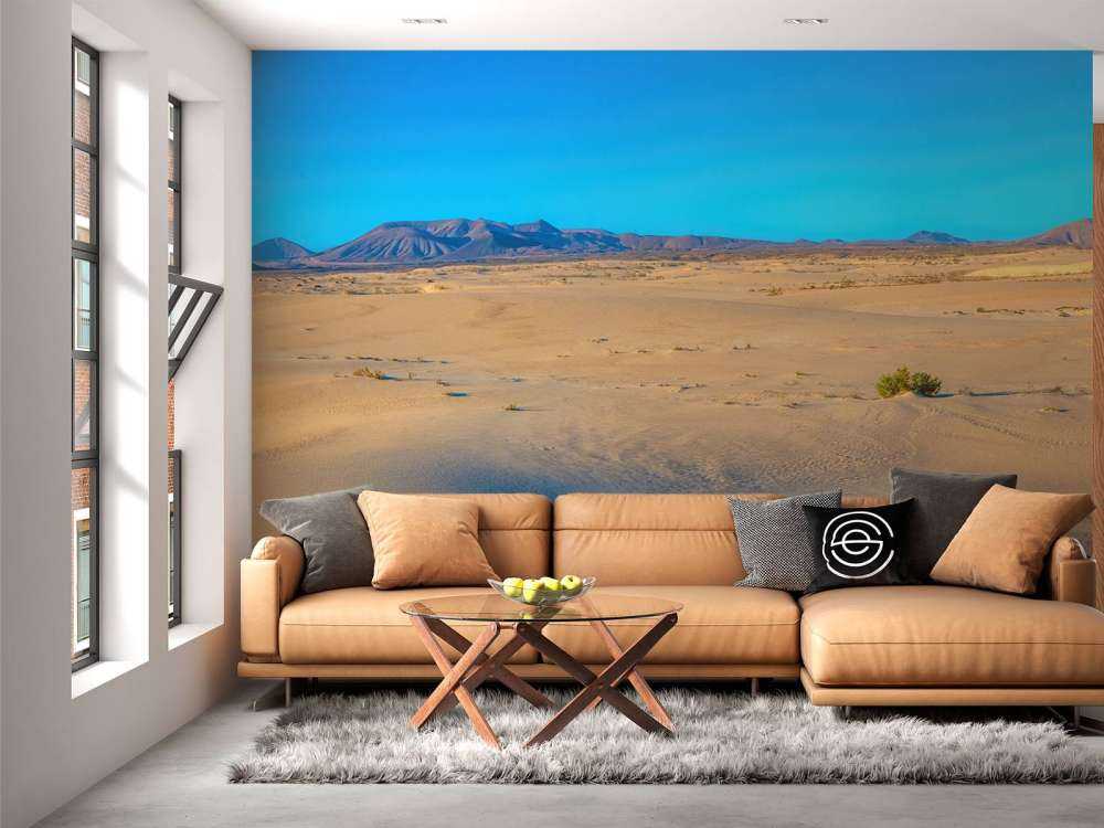 Sunrise over sand dunes