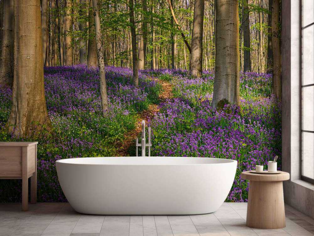 Path through a forest with hyacinths