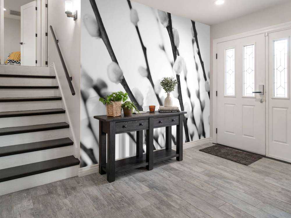 Black and white willow