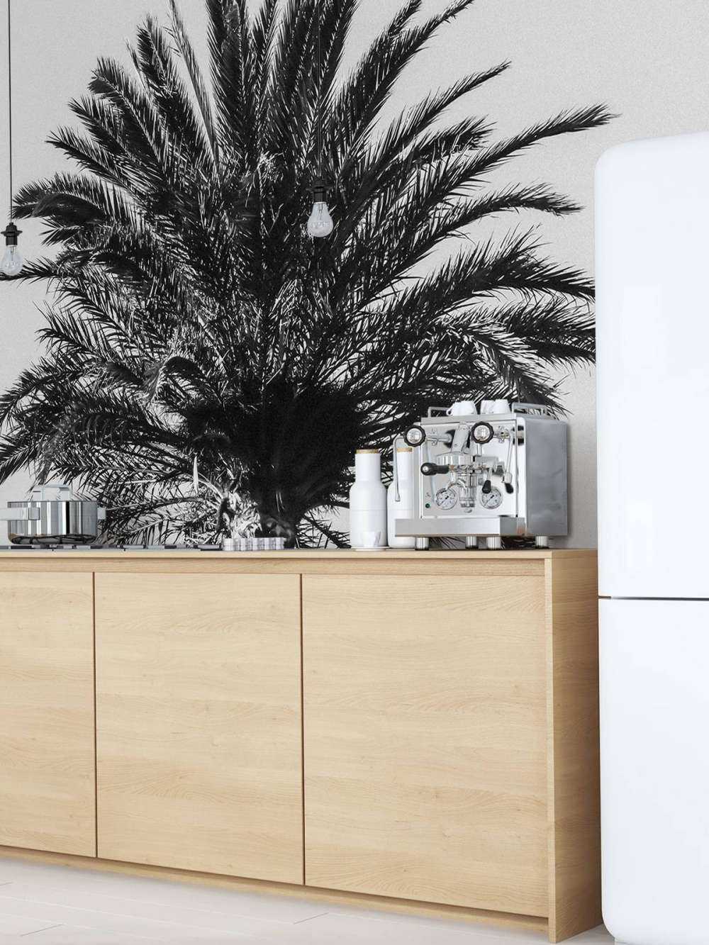 Black and White palm