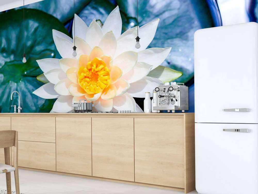 Witte lotusbloem met gele kern