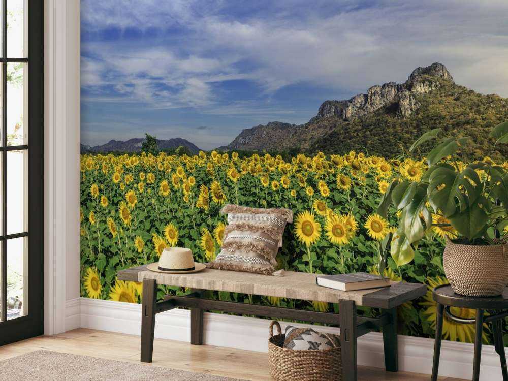 Yellow blooming field