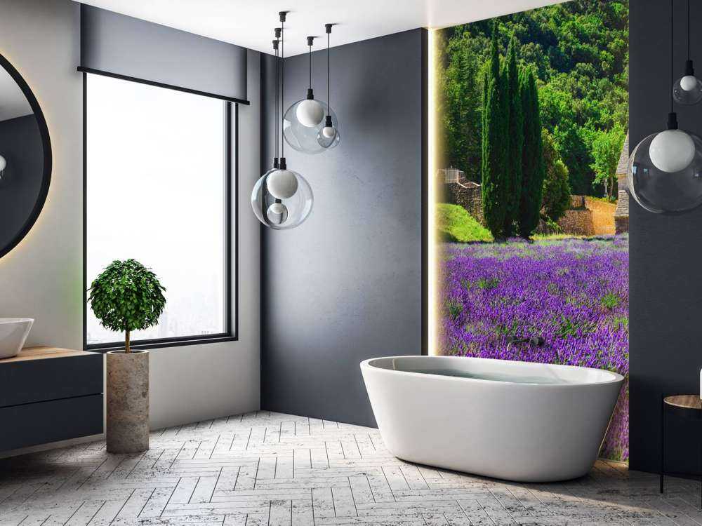 Fairy lavender field