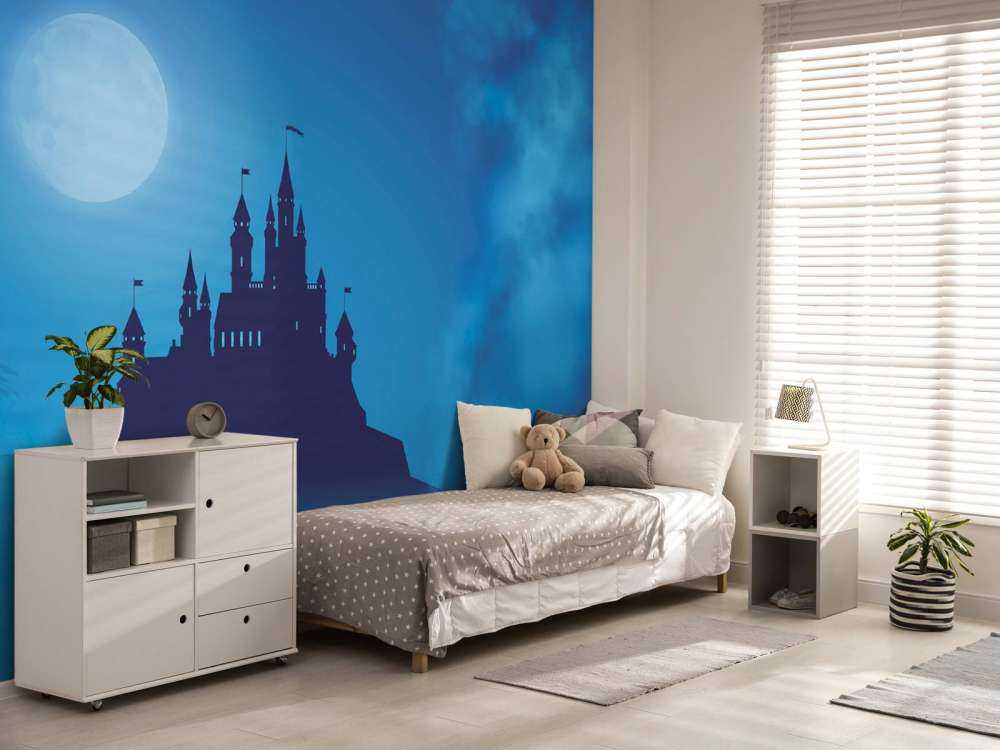 Castle with moonlight