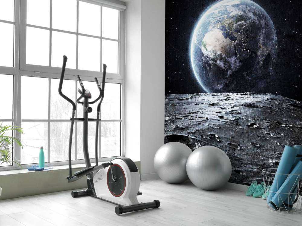 Moon and earth