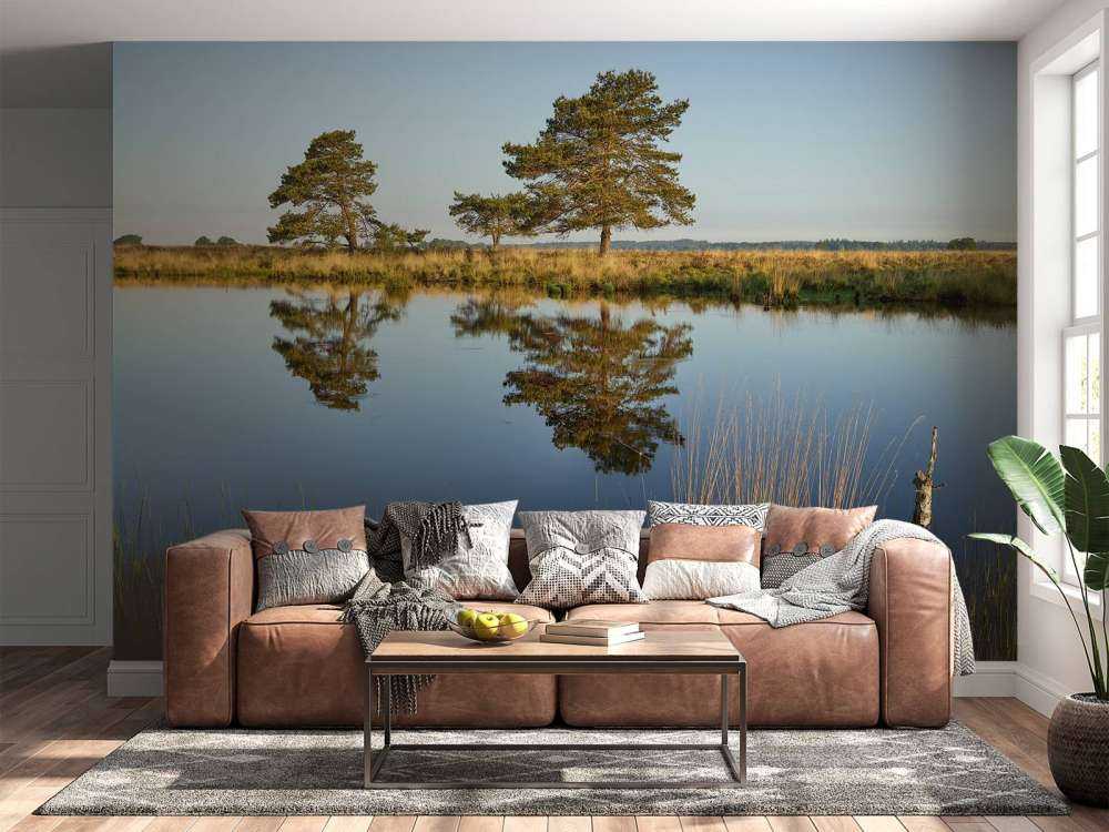 Woodland in heathland