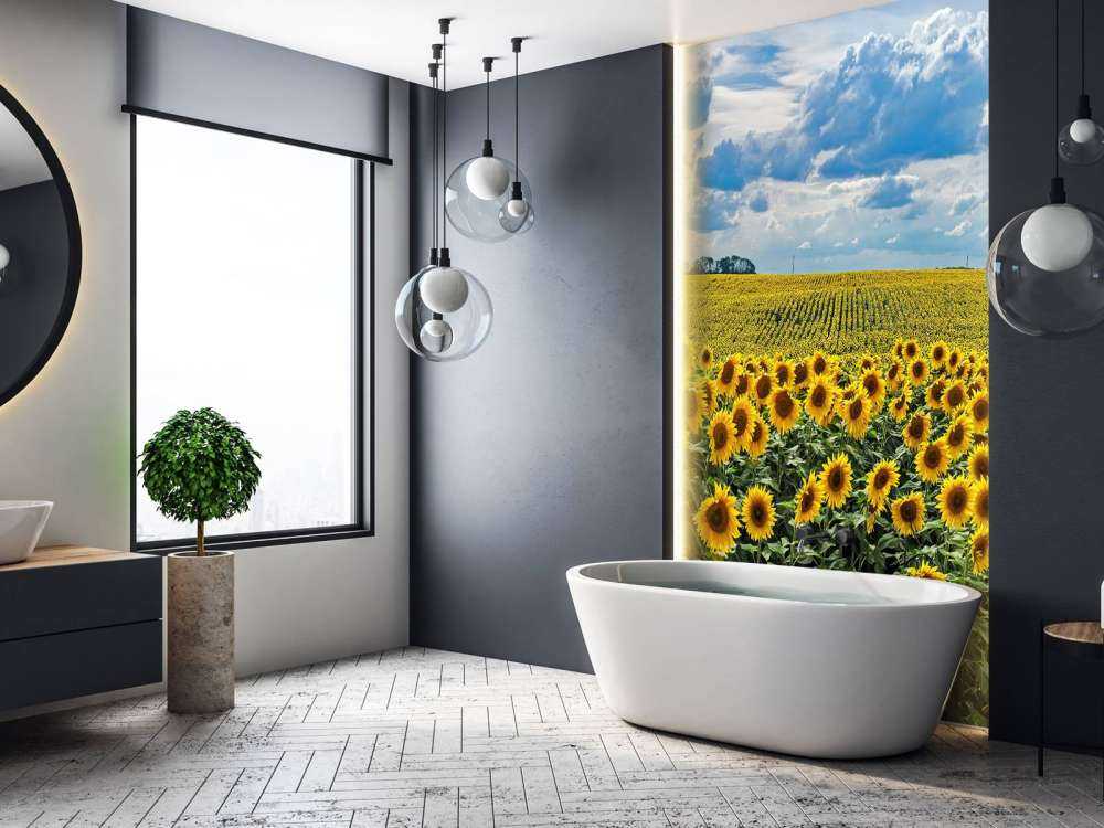 Meadow full of sunflowers