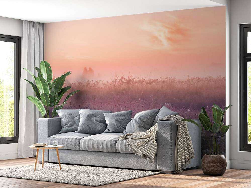 Field with morning mist