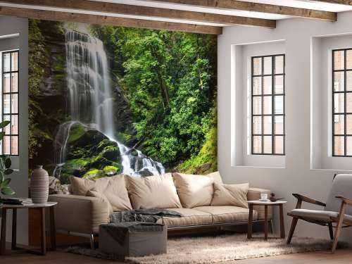 Jungle waterfall