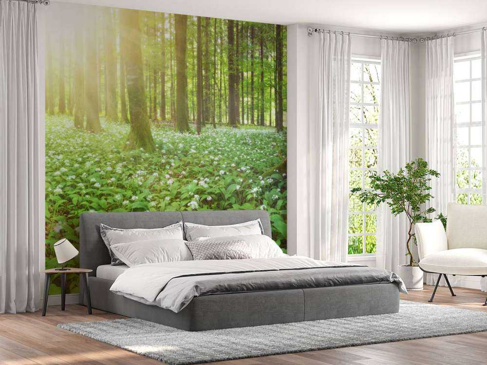 Wild forest at sunrise