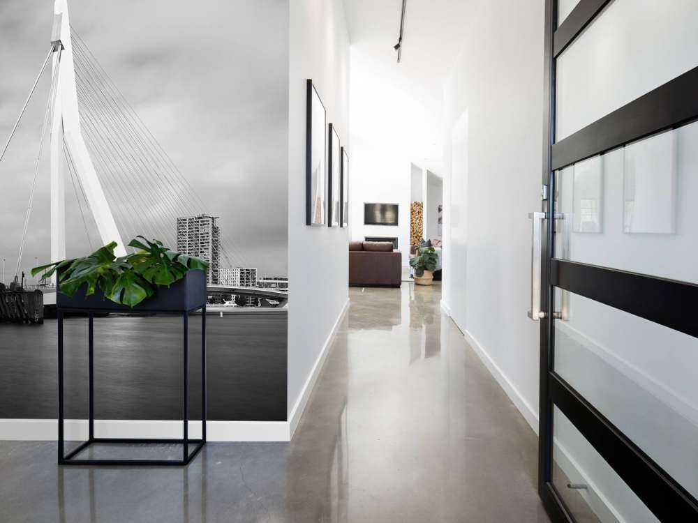 Erasmus Bridge Rotterdam 