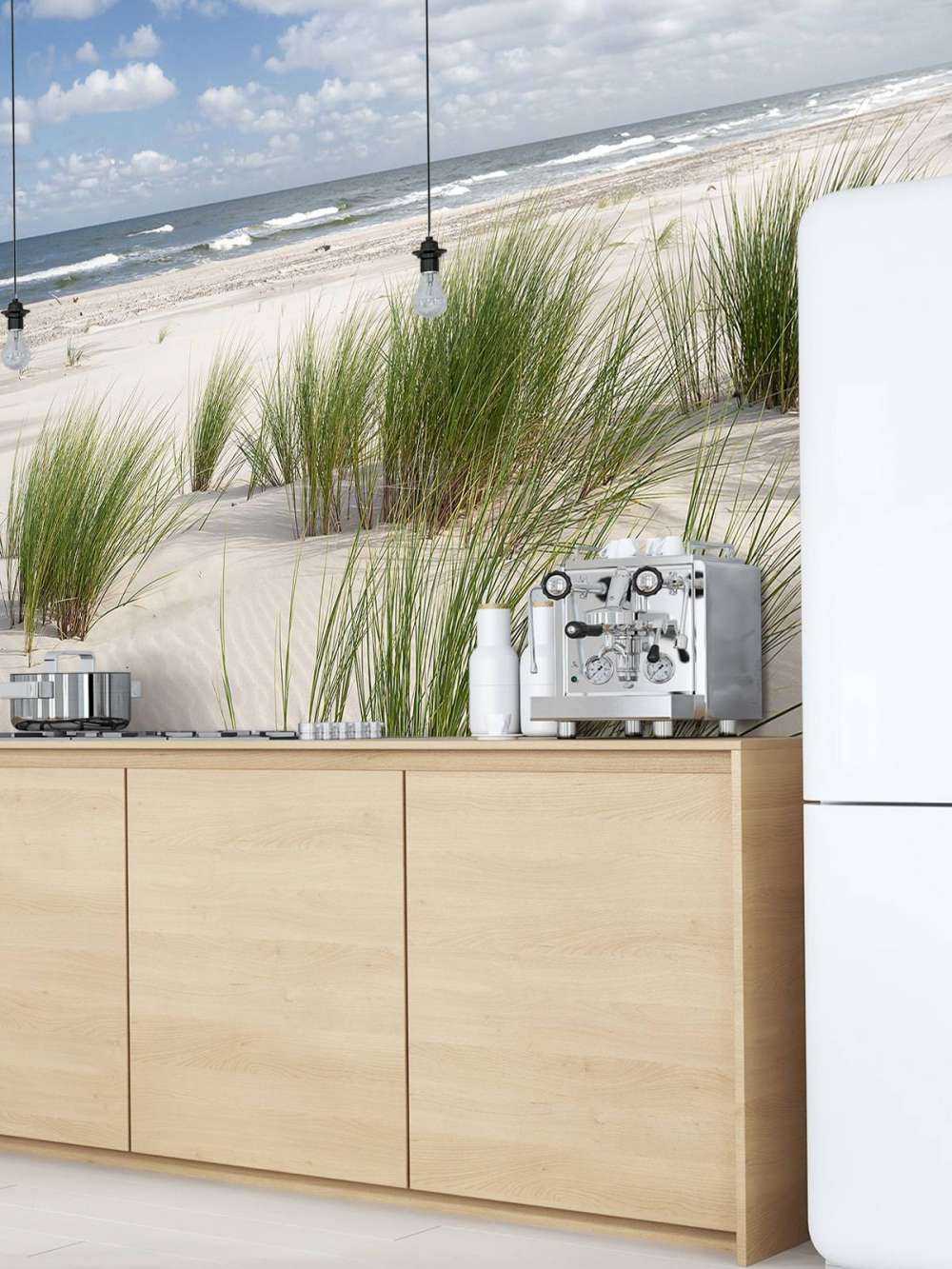 Beach with dune plants