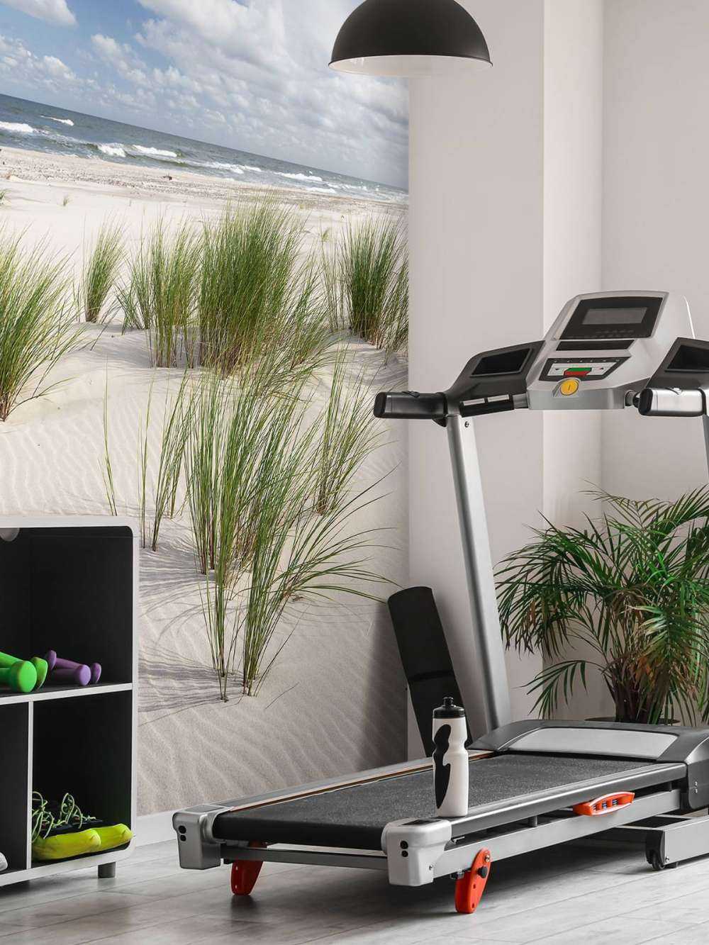 Beach with dune plants