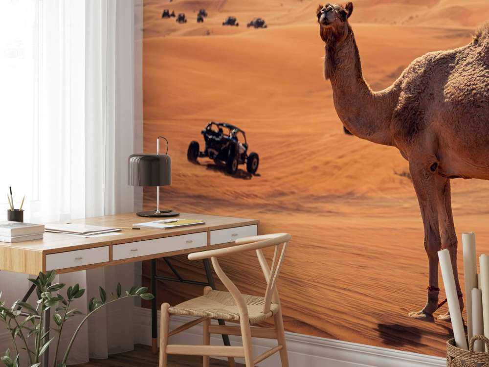 Off-road adventure in the desert