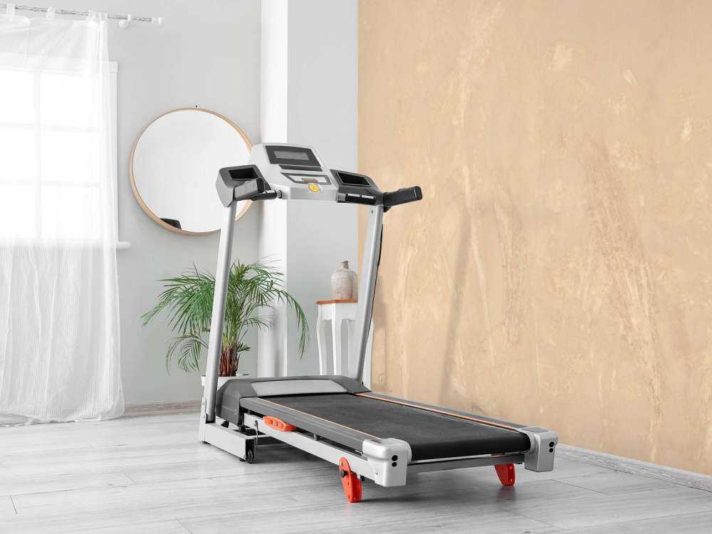 Sheep sorrel and shrub willow - sepia