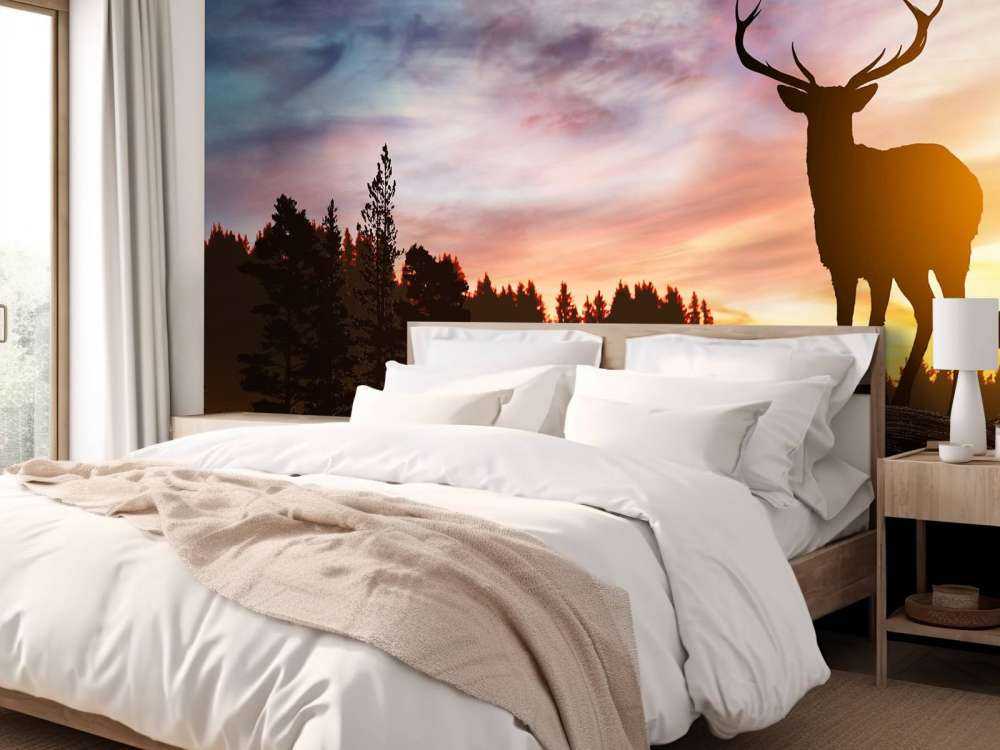 Deer with sunset