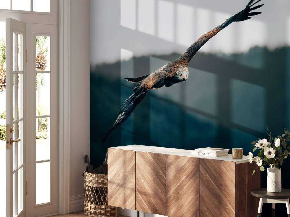 Red kite