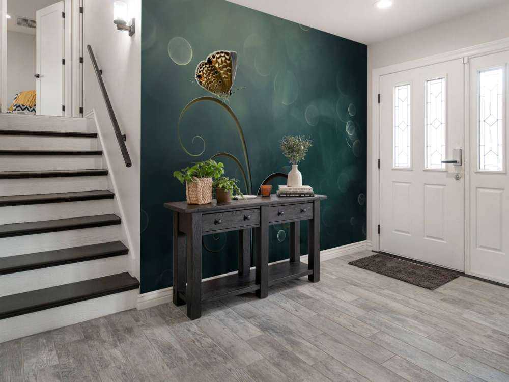 Butterfly in the Morning with Bokeh