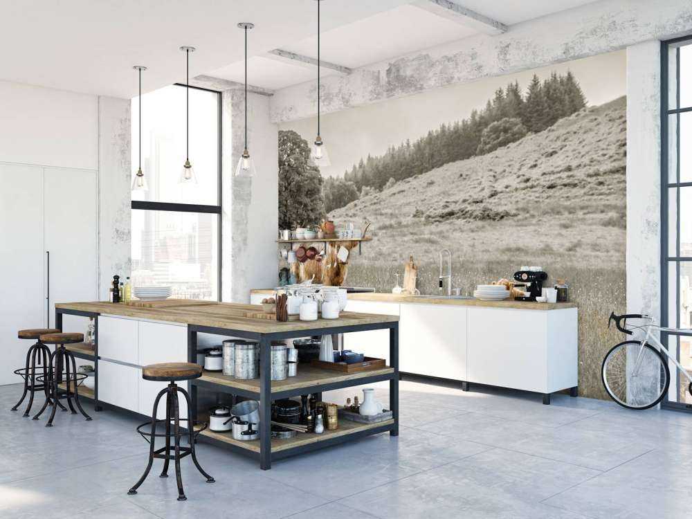 Scottish Highlander with calf