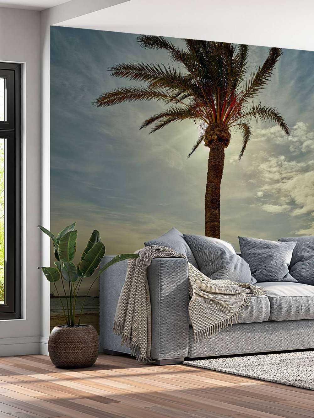 Palm tree in the sun