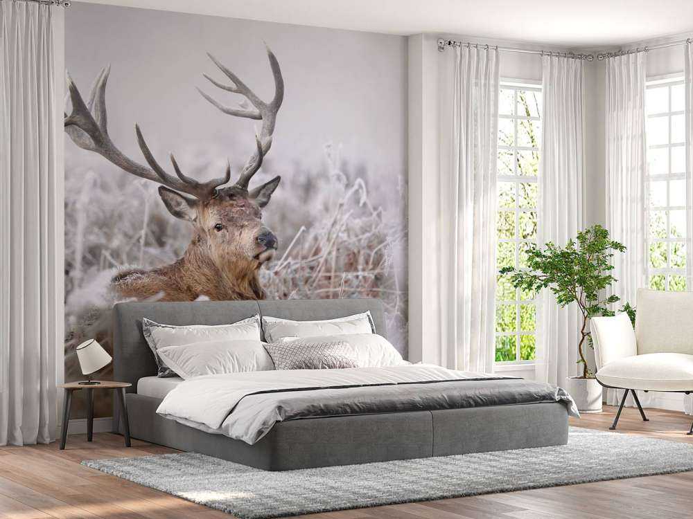 Red Deer's Winter Dream