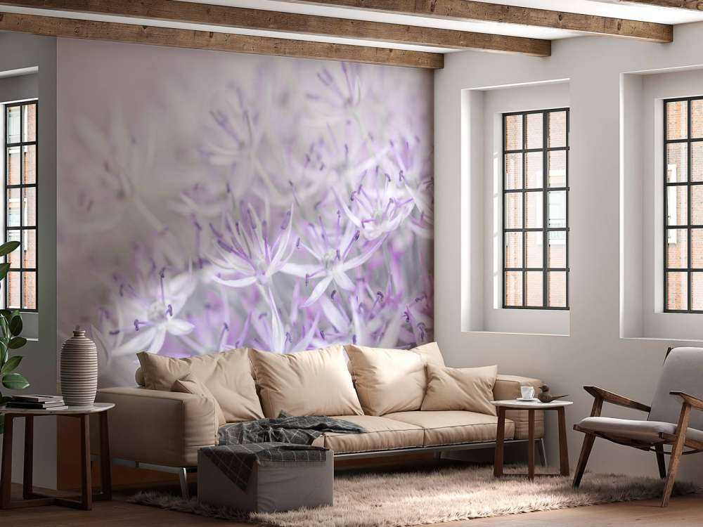 Allium flowers close-up