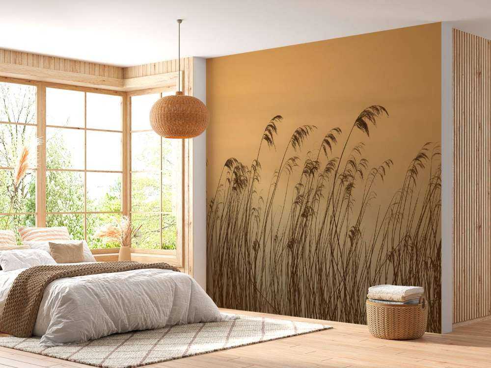 Reed along the waterfront