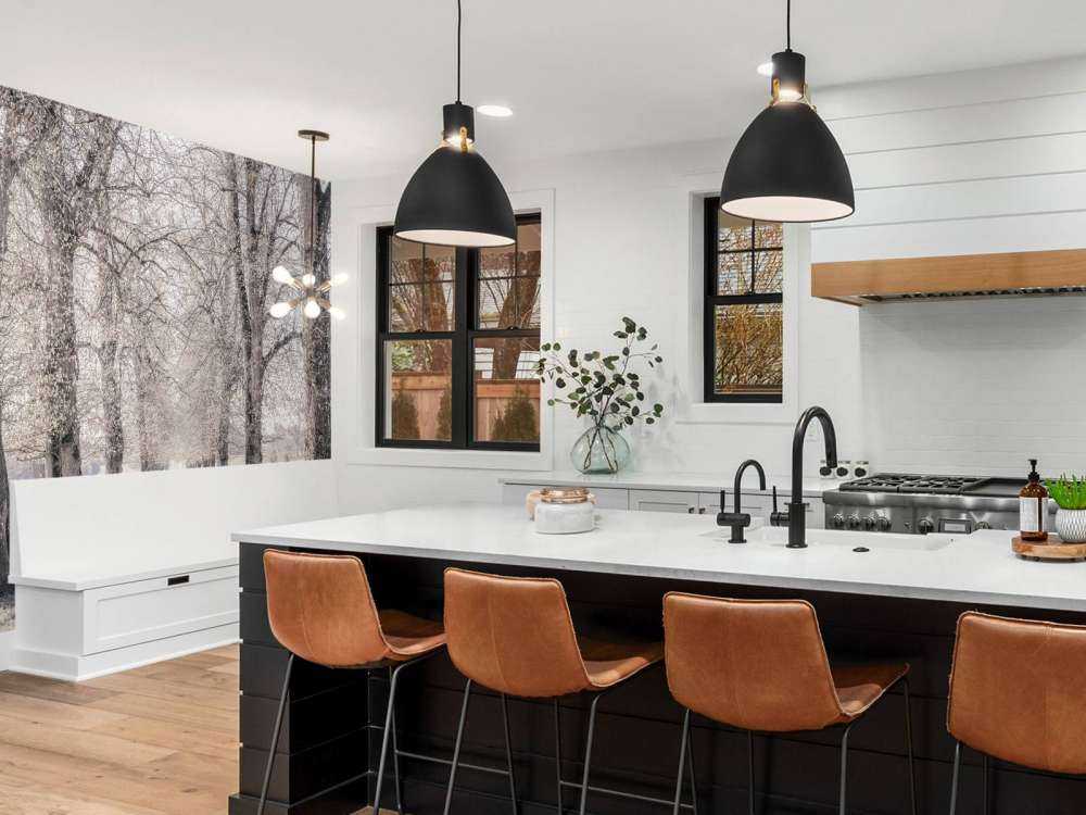 Tire tracks between the trees