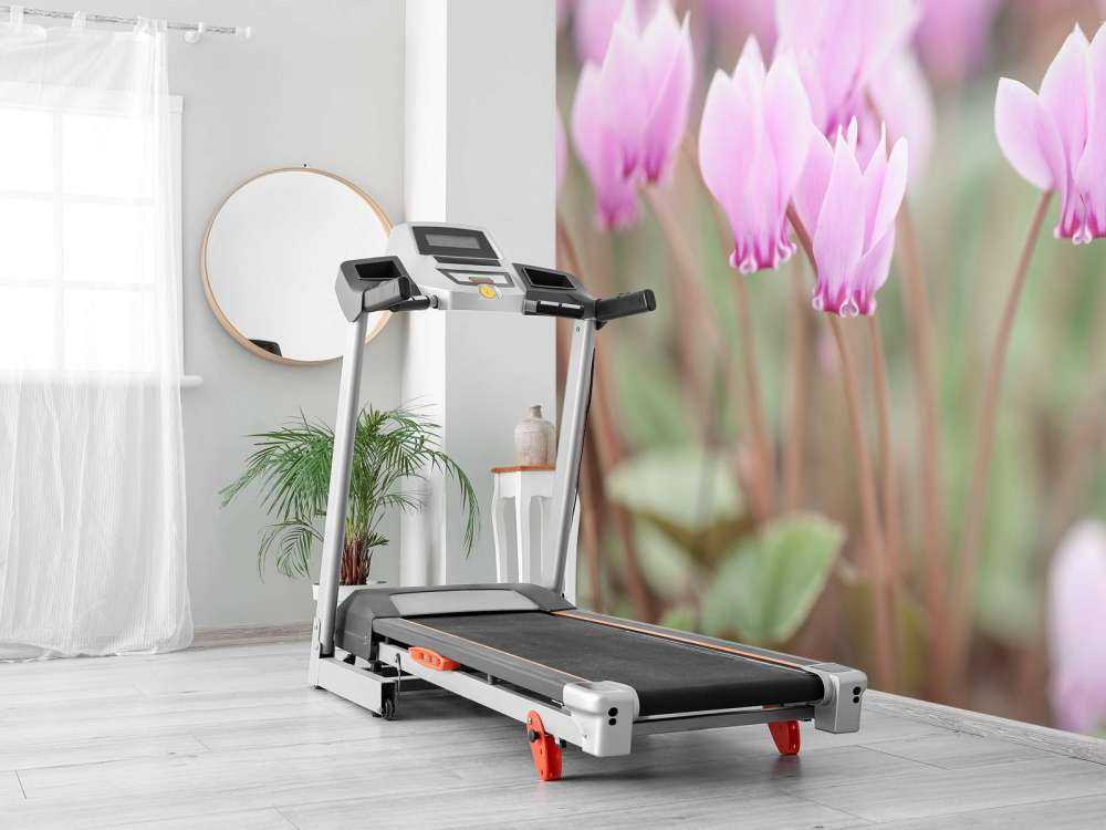 Beautiful ivy flowers