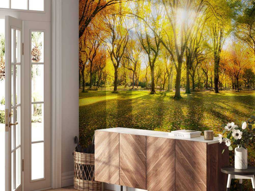 Colourful autumn forest