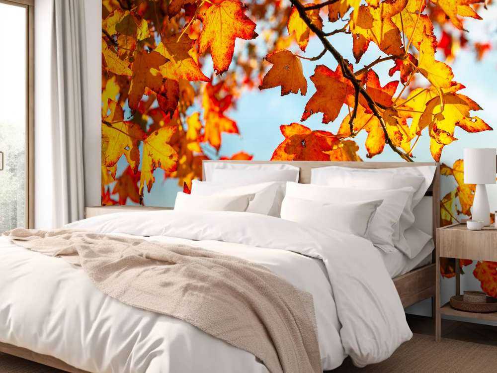 Autumn leaves
