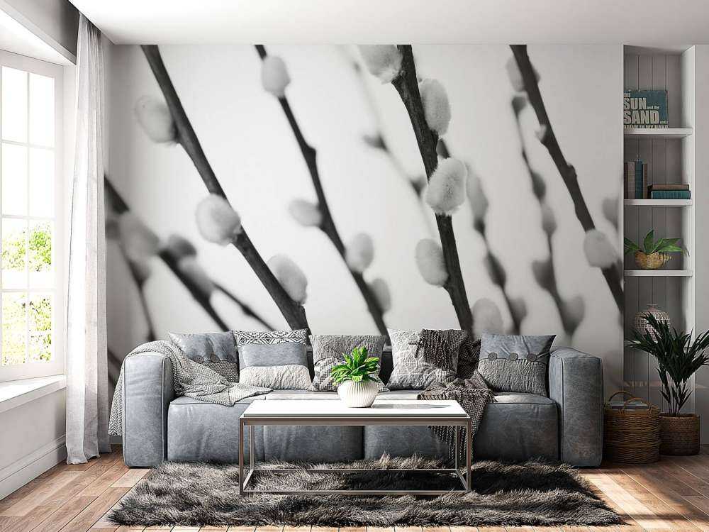 Forest willow in black and white