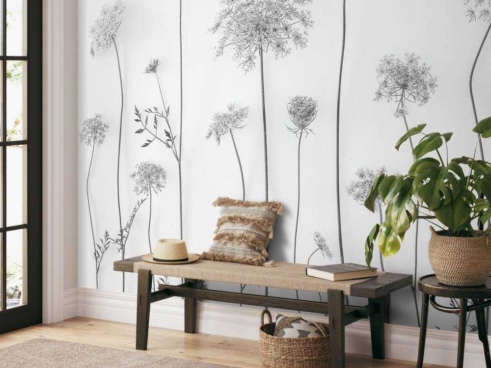 Cow parsley in black and white