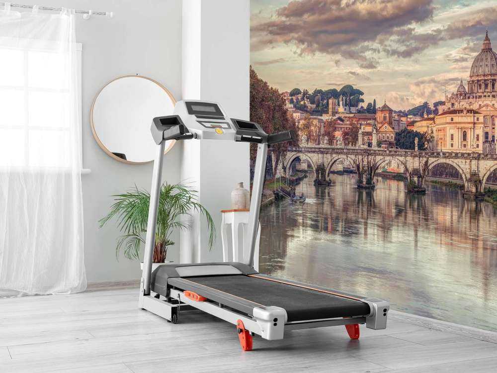 St Peter's Basilica by day