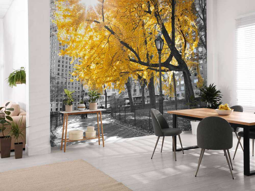 A path through Central Park