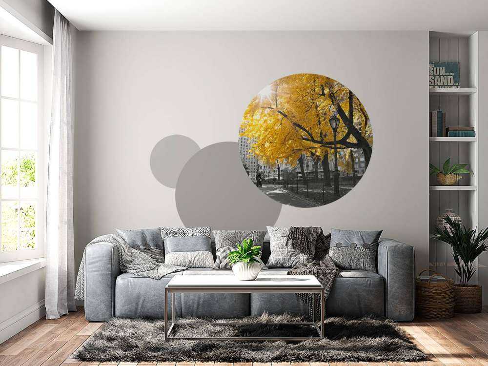 A path through Central Park