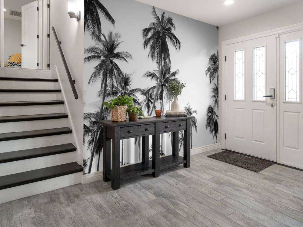 Palm trees in black and white