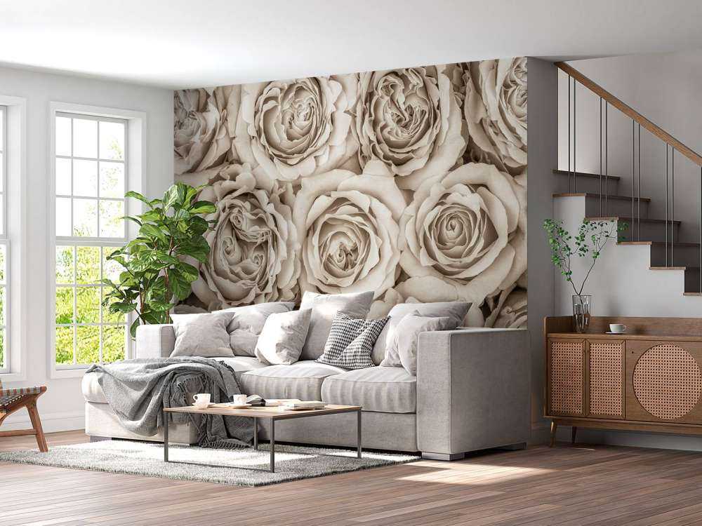 Background of roses