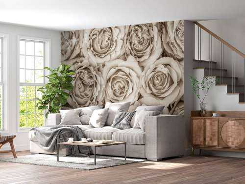 Background of roses