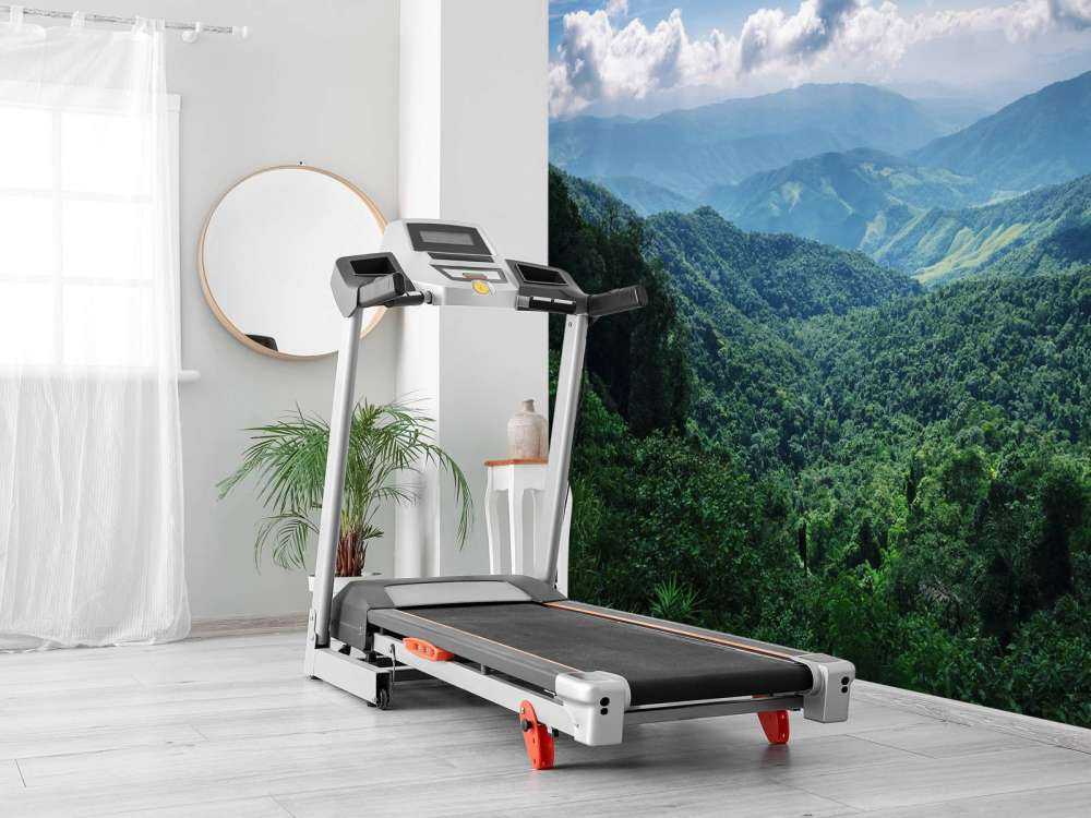 Green tropical forest