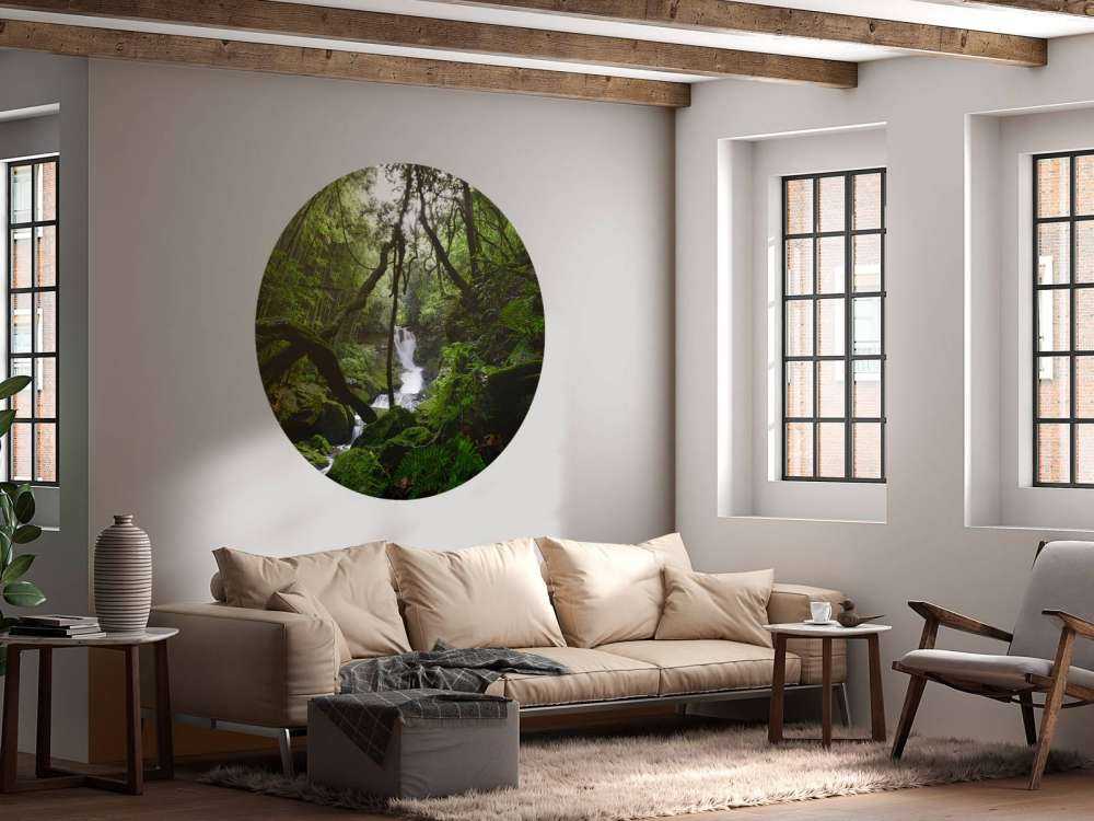 Waterfall surrounded by trees