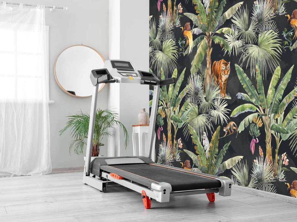 Palms and jungle animals