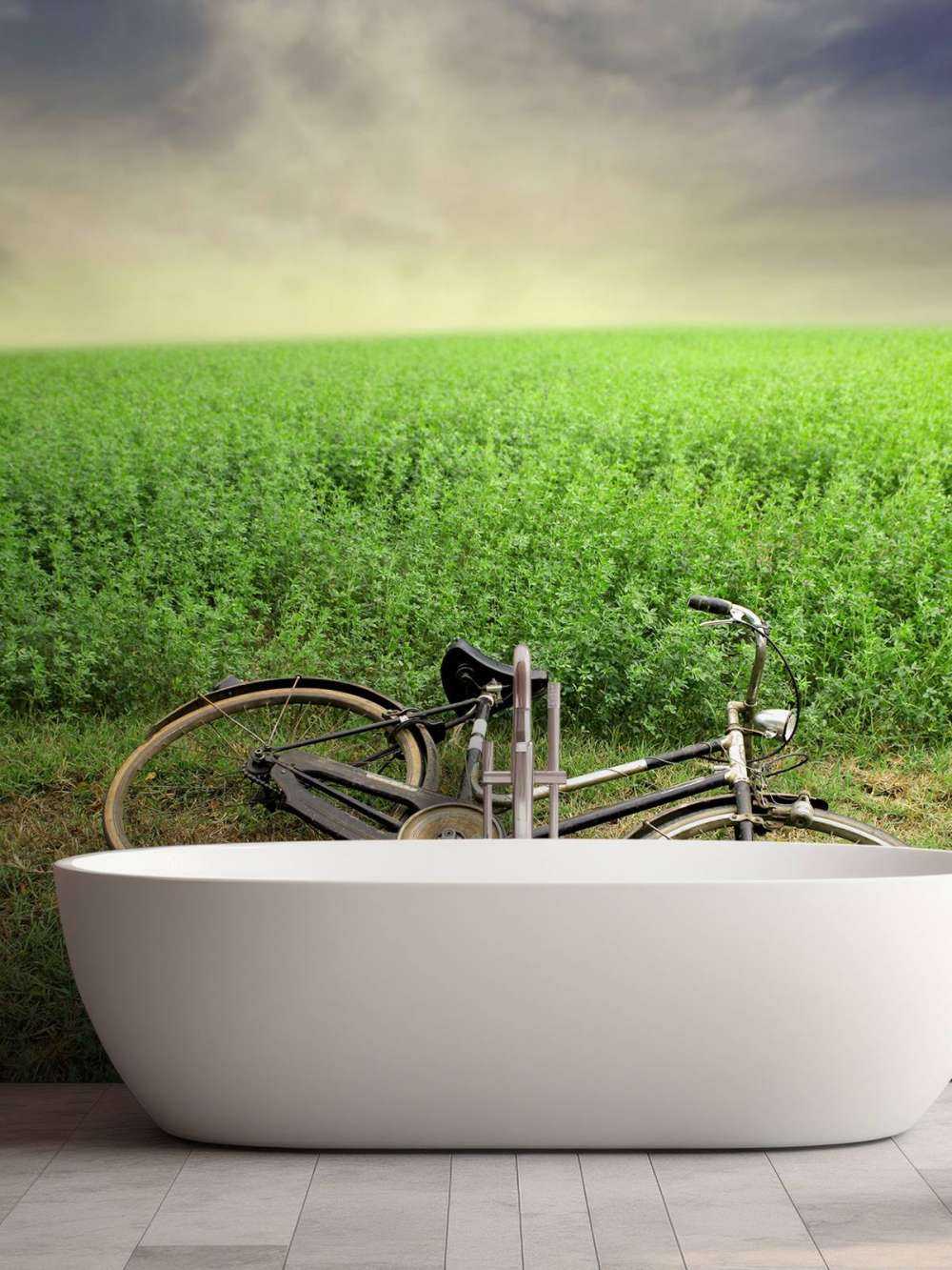 Old bicycle