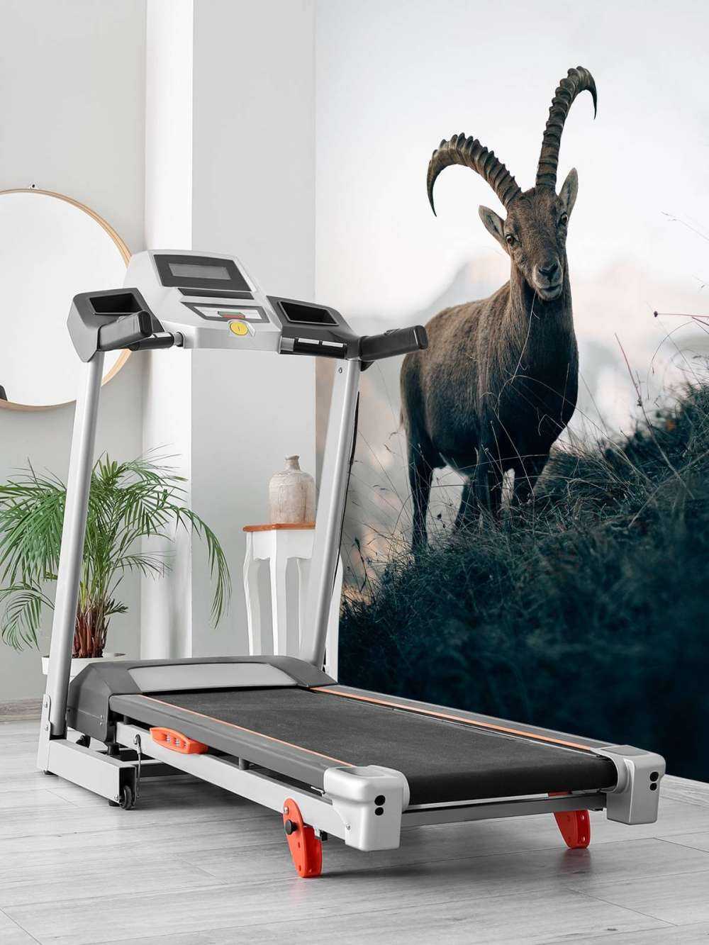 Capricorn in the mountains