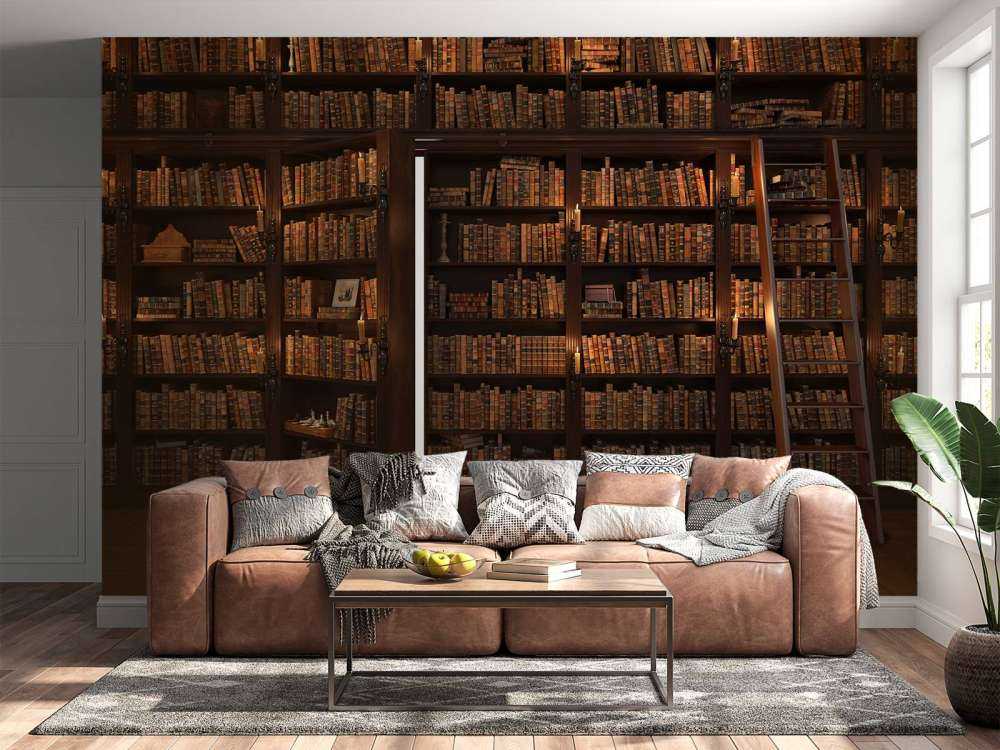 Secret library with hidden door